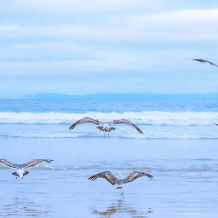 De Duintuin - In De Duinen, Groote Keeten Aan Zee * קלאנטסהוך