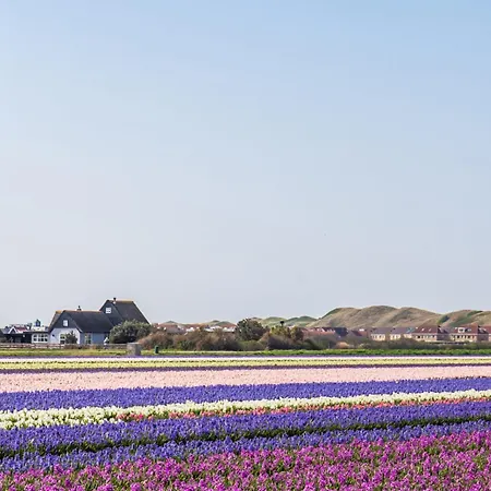 Hébergement de vacances De Duintuin - In De Duinen, Groote Keeten Aan Zee *