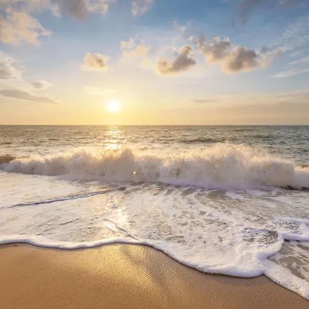 De Duintuin - In De Duinen, Groote Keeten Aan Zee